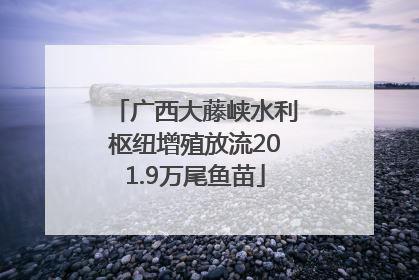 广西大藤峡水利枢纽增殖放流201.9万尾鱼苗
