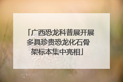 广西恐龙科普展开展 多具珍贵恐龙化石骨架标本集中亮相