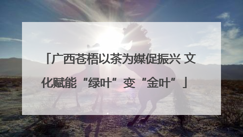 广西苍梧以茶为媒促振兴 文化赋能“绿叶”变“金叶”