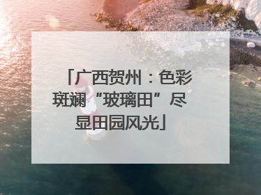 广西贺州：色彩斑斓“玻璃田”尽显田园风光