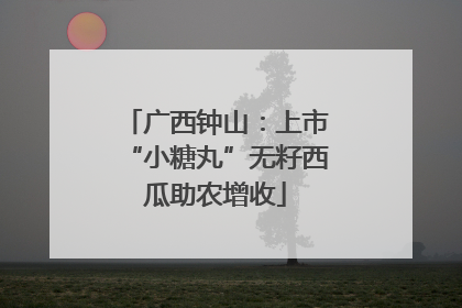 广西钟山：上市“小糖丸”无籽西瓜助农增收