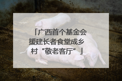 广西首个基金会援建长者食堂成乡村“敬老客厅”