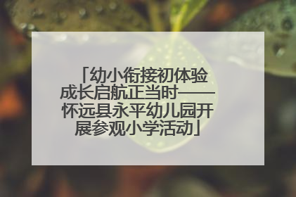 幼小衔接初体验 成长启航正当时——怀远县永平幼儿园开展参观小学活动