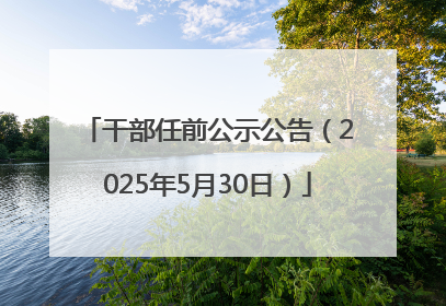 干部任前公示公告（2025年5月30日）
