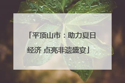 平顶山市：助力夏日经济 点亮非遗盛宴