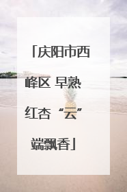 庆阳市西峰区 早熟红杏“云”端飘香