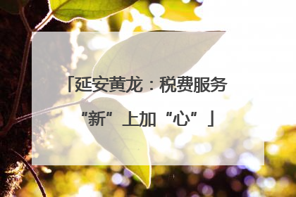 延安黄龙：税费服务“新”上加“心”