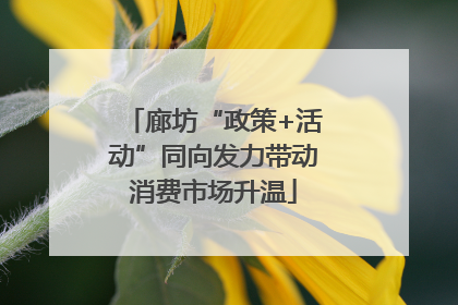 廊坊“政策+活动”同向发力带动消费市场升温