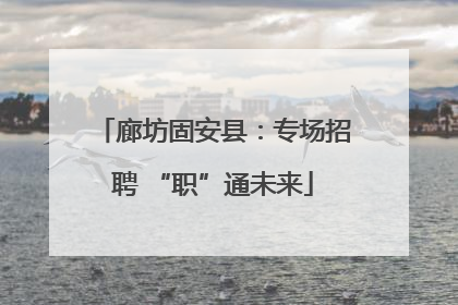 廊坊固安县：专场招聘 “职”通未来