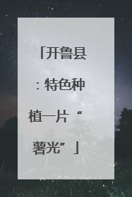 开鲁县：特色种植一片“薯光”