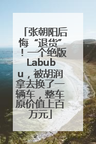 张朝阳后悔“退货”！一个绝版Labubu，被胡润拿去换了一辆车，整车原价值上百万元