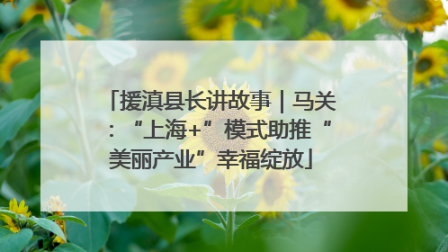 援滇县长讲故事｜马关：“上海+”模式助推“美丽产业”幸福绽放