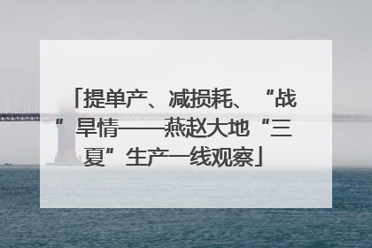 提单产、减损耗、“战”旱情——燕赵大地“三夏”生产一线观察