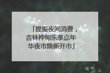 提振夜间消费，吉林桦甸乐享嘉年华夜市焕新开市