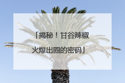 揭秘！甘谷辣椒火爆出圈的密码