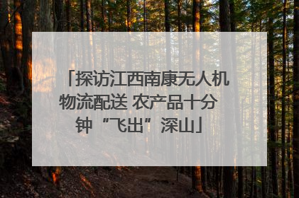 探访江西南康无人机物流配送 农产品十分钟“飞出”深山