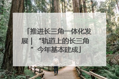 推进长三角一体化发展|“轨道上的长三角”今年基本建成