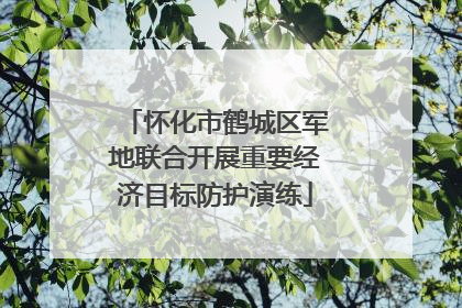 怀化市鹤城区军地联合开展重要经济目标防护演练