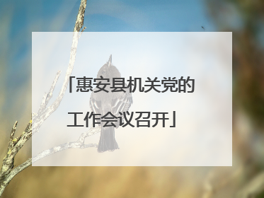 惠安县机关党的工作会议召开