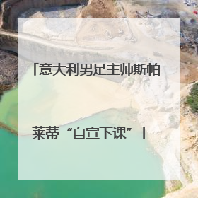 意大利男足主帅斯帕莱蒂“自宣下课”