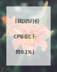 我国5月份CPI同比下降0.1%