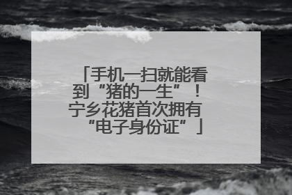 手机一扫就能看到“猪的一生”！宁乡花猪首次拥有“电子身份证”