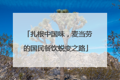 扎根中国味，麦当劳的国民餐饮蜕变之路