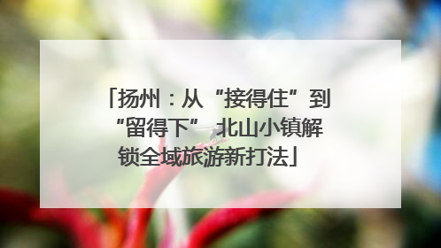 扬州：从“接得住”到“留得下” 北山小镇解锁全域旅游新打法