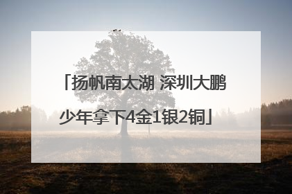 扬帆南太湖 深圳大鹏少年拿下4金1银2铜