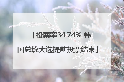 投票率34.74% 韩国总统大选提前投票结束