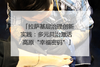 拉萨基层治理创新实践：多元共治激活高原“幸福密码”