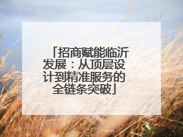 招商赋能临沂发展：从顶层设计到精准服务的全链条突破