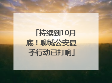 持续到10月底！聊城公安夏季行动已打响