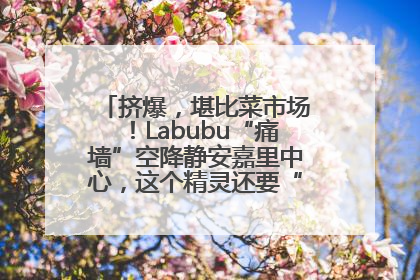 挤爆，堪比菜市场！Labubu“痛墙”空降静安嘉里中心，这个精灵还要“突袭”便利店？