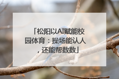 松阳以AI赋能校园体育：操场能认人，还能帮数数