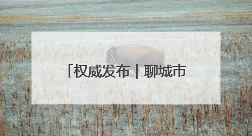 权威发布｜聊城市档案馆数字化赋能打造便民服务新模式