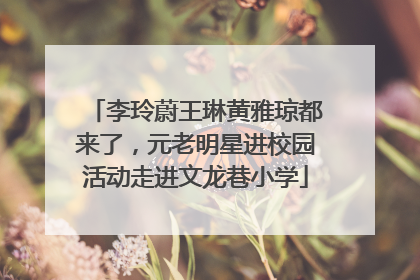 李玲蔚王琳黄雅琼都来了，元老明星进校园活动走进文龙巷小学