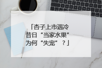 杏子上市遇冷 昔日“当家水果”为何“失宠”？