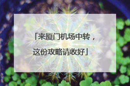 来厦门机场中转，这份攻略请收好