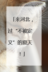来河北，过“不被定义”的夏天！