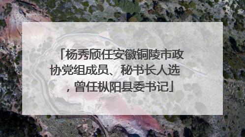 杨秀颀任安徽铜陵市政协党组成员、秘书长人选，曾任枞阳县委书记