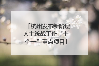 杭州发布新阶层人士统战工作“十个一”重点项目