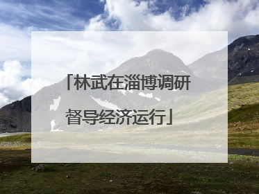 林武在淄博调研督导经济运行