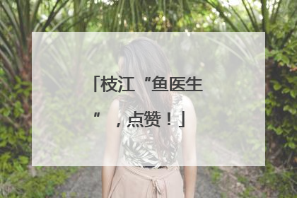 枝江“鱼医生”，点赞！