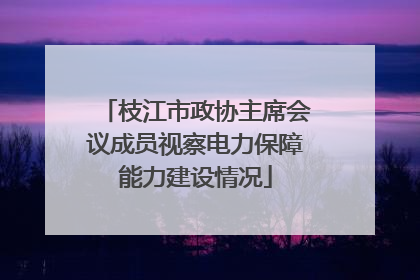 枝江市政协主席会议成员视察电力保障能力建设情况