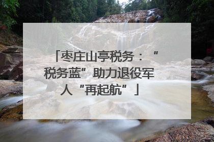 枣庄山亭税务：“税务蓝”助力退役军人“再起航”