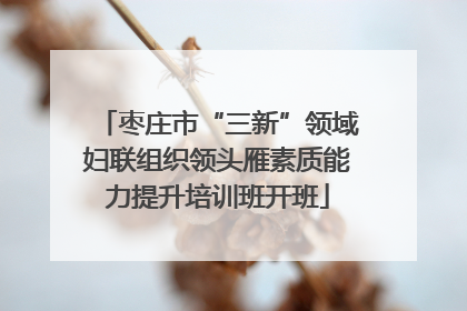 枣庄市“三新”领域妇联组织领头雁素质能力提升培训班开班