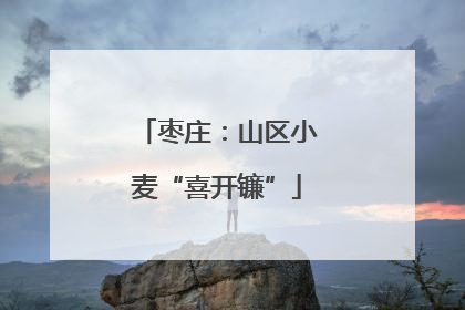 枣庄：山区小麦“喜开镰”