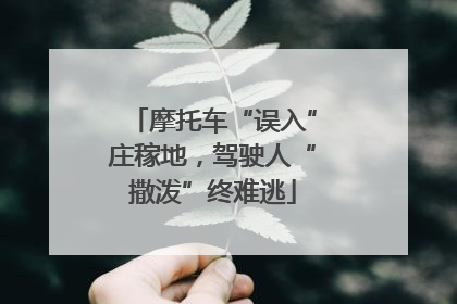 摩托车“误入”庄稼地，驾驶人“撒泼”终难逃