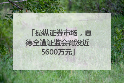 操纵证券市场，夏德全遭证监会罚没近5600万元